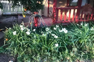 4756 N Sperry Rd, Denair, CA 95316 - Photo 28