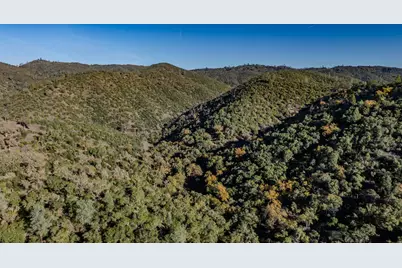 71 Hawver Road, San Andreas, CA 95249 - Photo 6