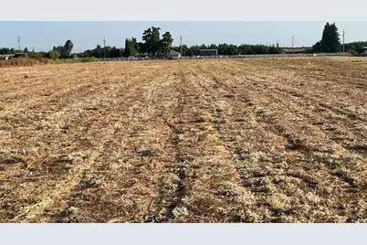 26304 E Mahon Avenue, Escalon, CA 95366 - Photo 36