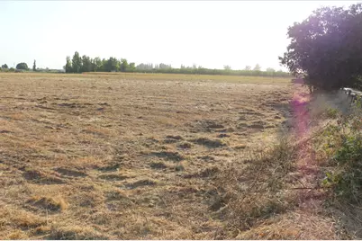 26304 E Mahon Avenue, Escalon, CA 95366 - Photo 14