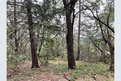 16525 Meadow Way, Grass Valley, CA 95945 - Photo 8