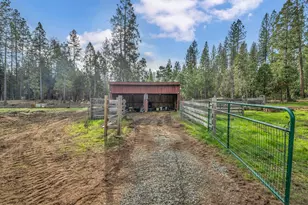 1486 Prussian Hill Rd, Mokelumne Hill, CA 95245 - Photo 88