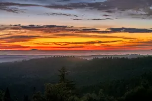 1486 Prussian Hill Rd, Mokelumne Hill, CA 95245 - Photo 40