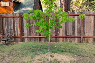 2520 Osborne Ave, South Lake Tahoe, CA 96150 - Photo 18