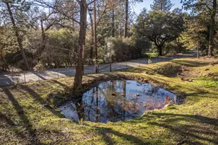 10095 Frenchtown Dobbins Rd, Oregon House, CA 95962 - Photo 40