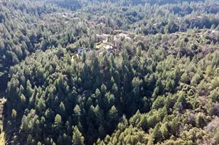 21895 One Fine Pl, Colfax, CA 95713 - Photo 64