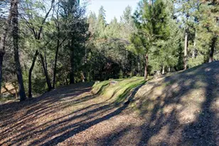 21895 One Fine Pl, Colfax, CA 95713 - Photo 78
