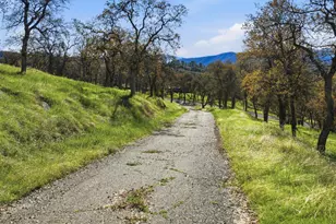 5670 Bear Trap Dr, Mariposa, CA 95338 - Photo 30