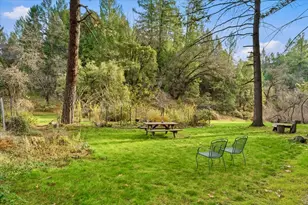 23325 Tree Farm Rd, Colfax, CA 95713 - Photo 20