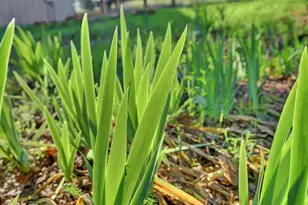 11013 Wolf Dr, Grass Valley, CA 95949 - Photo 90