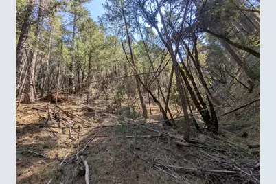 14295 Arrowhead Mine Road, Grass Valley, CA 95945 - Photo 8