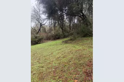 3200 Bird Haven Loop, Cool, CA 95614 - Photo 8