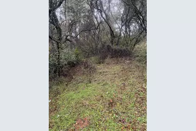3200 Bird Haven Loop, Cool, CA 95614 - Photo 14