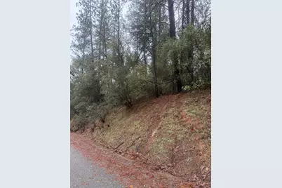 3200 Bird Haven Loop, Cool, CA 95614 - Photo 28