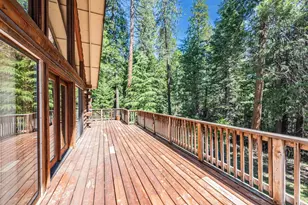 18008 N Mace Dr, Pioneer, CA 95666 - Photo 40