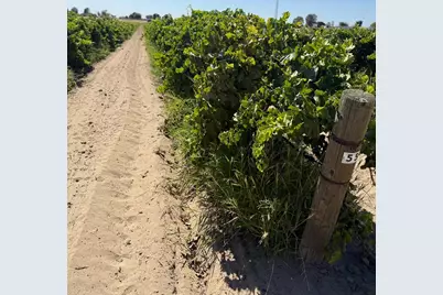 2247 W Magnolia Avenue, Caruthers, CA 93609 - Photo 6