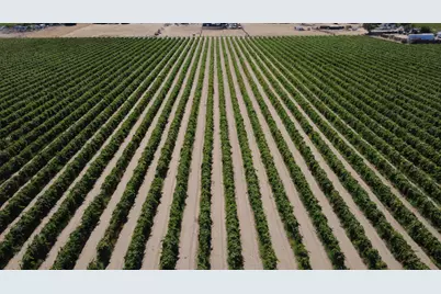 2247 W Magnolia Avenue, Caruthers, CA 93609 - Photo 4