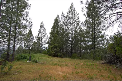 2676 Silver Mountain Road, Rail Road Flat, CA 95248 - Photo 56