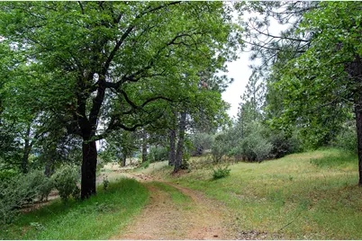 2676 Silver Mountain Road, Rail Road Flat, CA 95248 - Photo 32