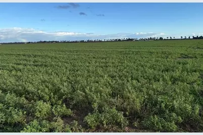 1430 Walnut Ave., Patterson, CA 95363 - Photo 6