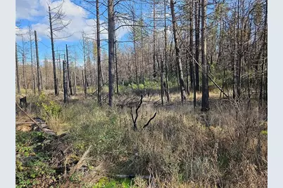 0 Feather Ridge Way, Berry Creek, CA 95916 - Photo 2