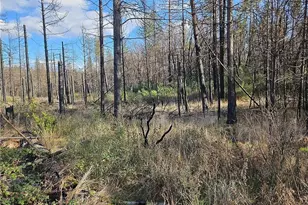 0 Feather Ridge Way, Berry Creek, CA 95916 - Photo 2