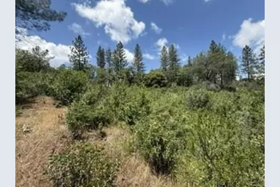 0 Feather Ridge Way, Berry Creek, CA 95916 - Photo 8