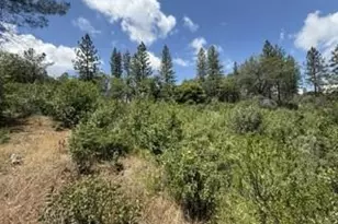 0 Feather Ridge Way, Berry Creek, CA 95916 - Photo 8