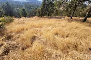 7318 Michelle Way, Browns Valley, CA 95918 - Photo 34