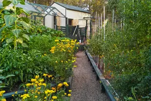 9719 Gary Dr, Browns Valley, CA 95918 - Photo 32