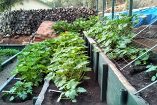 9719 Gary Dr, Browns Valley, CA 95918 - Photo 36