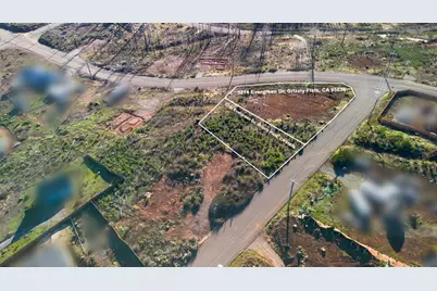 5206 Evergreen Drive, Grizzly Flats, CA 95636 - Photo 1