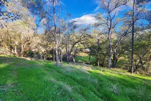 6275 Crystal Blvd, El Dorado, CA 95623 - Photo 6