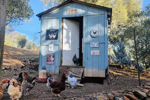 6275 Crystal Blvd, El Dorado, CA 95623 - Photo 36