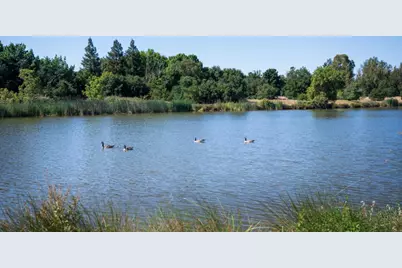 8139 Cadette Court, Elk Grove, CA 95757 - Photo 4