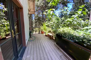 2682 Cresta Verde Dr, Camino, CA 95709 - Photo 48