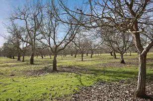 10710 N Shelton Rd, Linden, CA 95236 - Photo 70