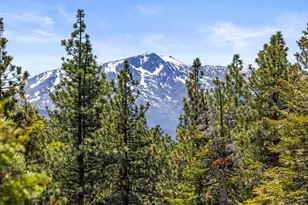 3589 Rocky Point Rd, South Lake Tahoe, CA 96150 - Photo 74