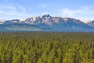 3589 Rocky Point Rd, South Lake Tahoe, CA 96150 - Photo 86