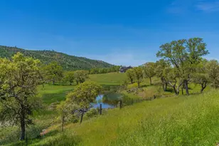 357 Quail Crk Dr, Copperopolis, CA 95228 - Photo 22