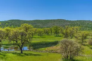 357 Quail Crk Dr, Copperopolis, CA 95228 - Photo 18