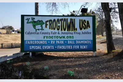 2000 Gun Club Road, Angels Camp, CA 95222 - Photo 8