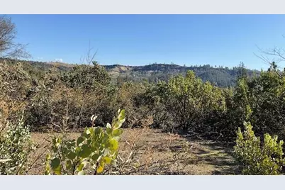 1445 Gallows, Murphys, CA 95223 - Photo 2