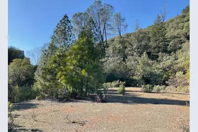 1445 Gallows, Murphys, CA 95223 - Photo 2
