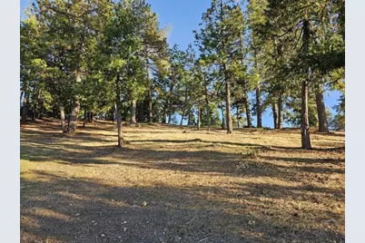 323 Forest Meadows Drive, Murphys, CA 95247 - Photo 8