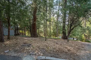 51 Canterwood Ln, Murphys, CA 95247 - Photo 1