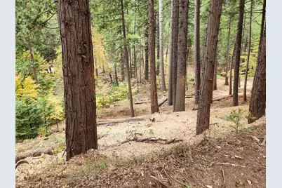 4337 Lakemont Drive, Arnold, CA 95223 - Photo 2