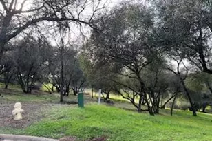 326 Mill Ct, Angels Camp, CA 95222 - Photo 1