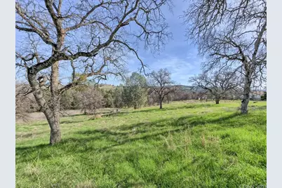 670 Murphys Grade Road, Angels Camp, CA 95222 - Photo 8