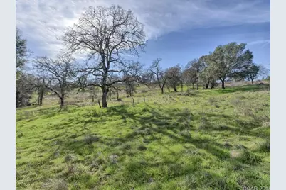 670 Murphys Grade Road, Angels Camp, CA 95222 - Photo 18